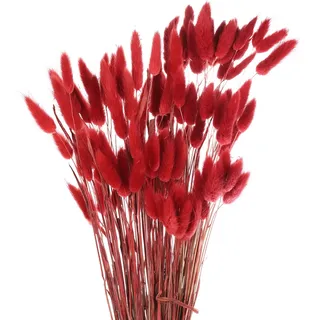 QUARKZMAN Hasenschwanzgras Getrocknet - Rot, 120 Stück Getrocknete Blumen, 45cm Pampasgras Natürlicher für Florale Hochzeitsdekoration Weihnachten