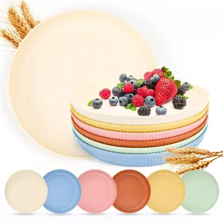 AKONE 6 Stück Wiederverwendbar Camping Teller 23cm, Plastikteller Tief Set, Unzerbrechliches Picknickteller, Bunt Weizenstrohteller Kunststoff Geschirr für Salat Pasta Party Outdoor Home