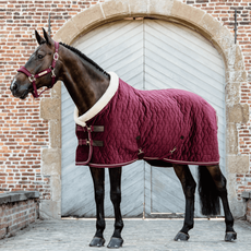Bild von Horsewear Show Rug Velvet 160g - Turnierdecke, 155