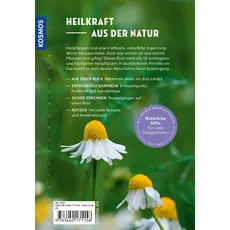 Ein gutes Dutzend heilende Pflanzen, Ratgeber von Frank Hecker, Katrin Hecker