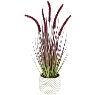 I.GE.A. Kunstpflanze »Fuchsschwanzgras« Mit Übertopf Kunstgras Deko Borstenhirse Panicoideae Setaria rot
