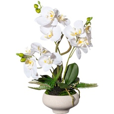 Bild Kunstorchidee »Orchidee Phalaenopsis im Keramiktopf«, weiß