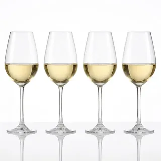 Spiegelau Salute Weißweinglas 0,465 l 4 St.