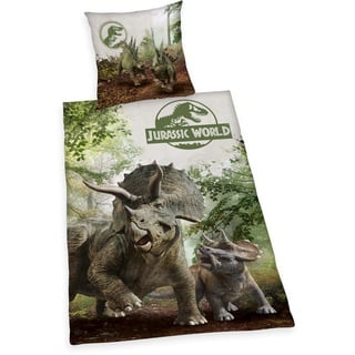 Herding Jurassic World Bettwäsche-Set, Wendemotiv, Kopfkissenbezug 70 x 90 cm, Bettbezug 140 x 200 cm, Mit leichtläufigem Reißverschluss, Baumwolle/Renforcé