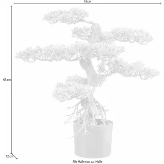 Creativ green »Bonsai«, grün,