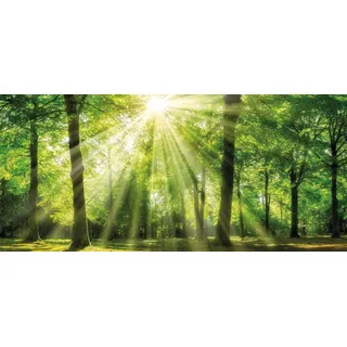Leinwandbild BÖNNINGHOFF "Sonnenstrahl", grün (farbe bild(er): grün), B:200cm H:90cm T:3,5cm, MDF, Papier, Bilder, Leinwandbild