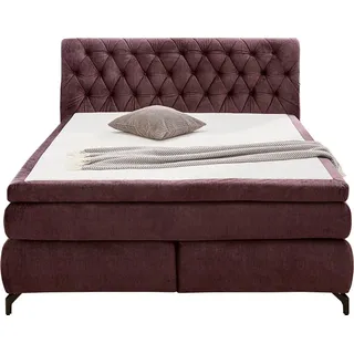 Jockenhöfer Scarlett 192 x 230 cm H3 Aubergine