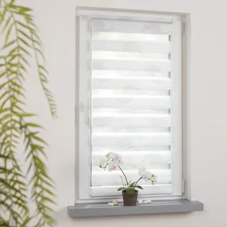 LIEDECO Seitenzugrollo LIEDECO "Aster" Gr. 3, weiß, B:40cm H:150cm, Metall, Polyester, Rollos, Seitenzugrollo, Klemmfix-DUO-Rollo, Doppelrollo "Aster"