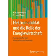 Elektromobilität und die Rolle der Energiewirtschaft
