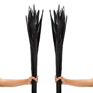 Leewadee Dekoration für Bodenvasen, 2 Bündel Getrocknete und Colorierte Natur-Palmblätter, Trockenblumenstrauß Für Wohnzimmerdeko, 115 cm, Schwarzbraun