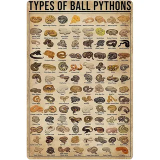 Retro Metall Blechschild Types of Ball Pythons Poster Schild für Outdoor & Indoor Wandposter Home Bar Shop Dekorationen Kaffee Vintage Schild Geschenk 30,5 x 20,3 cm