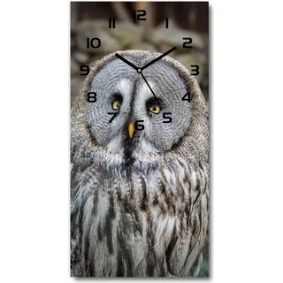 Wanduhr aus Glas – 30x60 cm - Glasbild - Glasuhr - Gehärtetes Glas -Eule - Braun