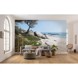 KOMAR Mediterrane Träume 450 cm