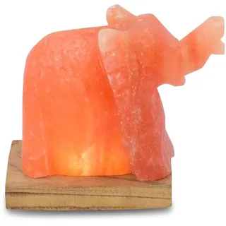 HIMALAYA SALT DREAMS Salzkristall-Tischlampe »Elefant« LED-Modul 1 Stk. Warmweiß Handgefertigt aus Salzkristall - jeder Stein ein Unikat, H: ca.11 cm, orange