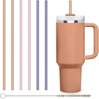 HALM Pastell Farbene Glasstrohhalme 6x 30 cm lang für Stanley Cup Quencher Tumbler & Flaschen bis 1,2 Liter + Reinigungsbürste Spülmaschinenfest - Wiederverwendbare Ersatz Strohhalme