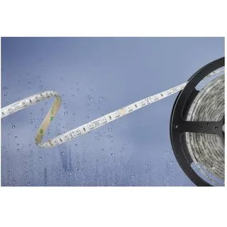 BARTHELME LED-Streifen 51540831 24 V RGB 500 cm 1 St.