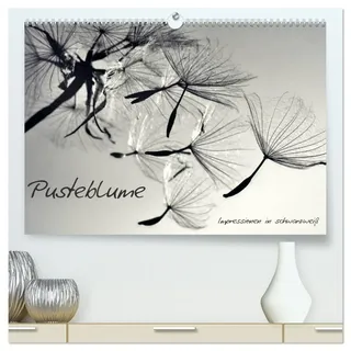 Pusteblume - Impressionen in schwarzweiß (hochwertiger Premium Wandkalender 2026 DIN A2 quer), Kunstdruck in Hochglanz: Ein Kalender mit einzigartigen ... der Pusteblume (CALVENDO Natur)
