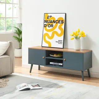 Fernsehschrank 'Reyljand' mit 2 Türen 120 x 35 x 50 cm Grau / Eicheoptik - Grau