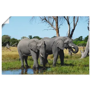 Artland Poster "Afrikanische Elefanten" Wildtiere 1 Stk. tlg. ohne Rahmen, farbe bild(er): blau