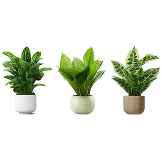 UPKOCH Wandtattoo Bonsai-Pflanze Selbstklebend Dekorativer Wandaufkleber Für Wohnzimmer Schlafzimmer Und Esszimmer Topfpflanze Wandsticker Für Innendeko 15.75 X 11.81 Zoll