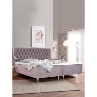 PLACES OF STYLE Boxspringbett »Exclusive«, inkl. Topper, 3 Breiten, 3 Härtegrad-Ausführungen lila