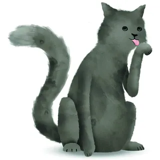 KOMAR Bild, »Cute Animal Cat« Tiere 1 Stk. tlg. Wandbild zur Dekoration, | ohne Rahmen, bunt