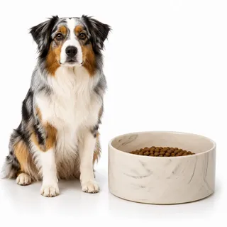 Hundenapf Keramik – rund – 750ml – grau – spülmaschinenfest – für mittelgroße Hunde – Flamingo dog bowl baron