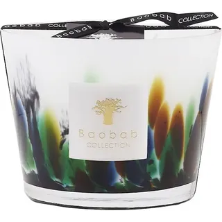 Baobab Home Scented-CandlesAmazoniaDuftkerze Max 10 500 g