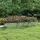 Garten-Hochbeet 320 x 80 x 45 cm Silber