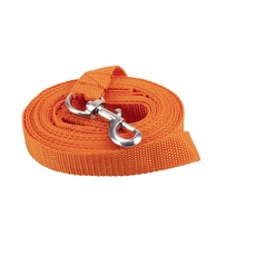 JANUEL - Hundeleine, Polyester, Länge 5 m x Breite 25 mm, Rot