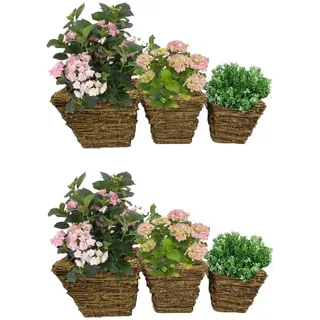 Set 6 X Weiden Blumen Kräuter Pflanztöpfe Rattan Körbe Ausgekleidete Terrasse