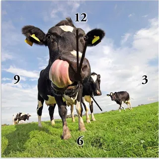 ARTland Wanduhr auf Alu Quarzuhr - schwarzer Zeiger Holstein-Kuh mit gewaltiger Zunge Größe: 30x30 cm - Blau