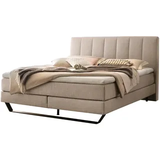 Hasena Pronto Ambra Boxspringbett metall/schwarz