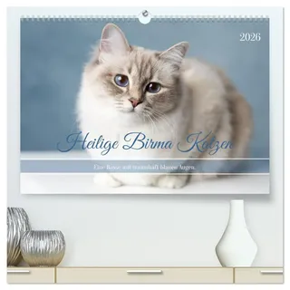Heilige Birma Katzen - Eine Rasse mit traumhaft blauen Augen. (hochwertiger Premium Wandkalender 2026 DIN A2 quer), Kunstdruck in Hochglanz: ... Heilige Birma Katzen (CALVENDO Tiere)