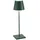 Poldina Pro dark green