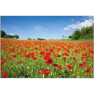 Wallario Outdoor-Poster für Garten oder Balkon, Motiv Mohnblumenfeld- rote Blumen unter blauem Himmel, in ca. 61 x 91,50 cm - Grün