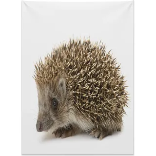 Abakuhaus Igel Wandteppich, Kleines schönes Säugetier aus Weiches Mikrofaser Stoff Kein Verblassen Klare Farben Waschbar, 110 x 150 cm, Braun Kakao - Braun