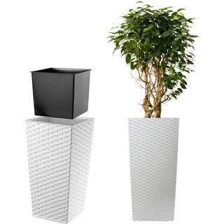 KADAX Pflanzkübel mit Innentopf, Höhe 75cm, 38x38cm, ca. 54L – Rattan-Optik Weiß, Frostsicherer Blumentopf für Innen & Außen, Garten, Balkon & Terrasse, UV-beständig, wetterfest