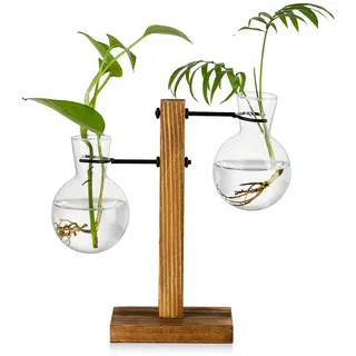 Vermehrungsstation Mit Holzregal 2 Birne Vintage Avocado Vase Glas Reagenzglas Vasen Für Blumen Eichel Pflanze Für Home Table Desk Indoor Decor
