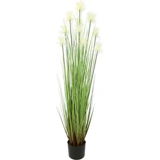 Flair Flower Protea im Grasbusch im Topf Nadelkissen Busch Ufergras Dekogras Gras Kunstgras künstliche Pflanzen Kunstpflanze Grünpflanze Solitärgras Dekopflanze, Weiß, 120 cm, 020907W