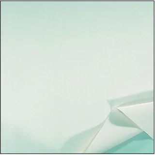 Tischdecke Schwanendaunen PVC Geschäumt Weiß 140X20 M