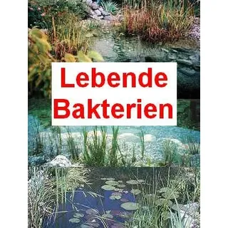 100 g lebende Bakterien + 2 große Schwimmpflanzen