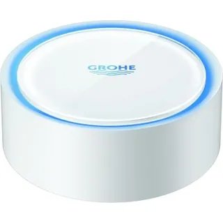 Grohe Sense Wassersensor