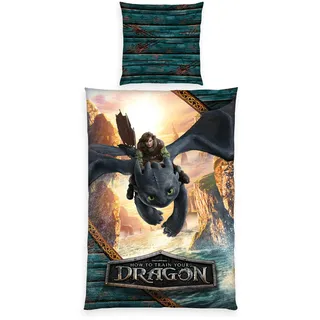 Herding Dragons, Kopfkissenbezug ca. 80 x 80 cm,