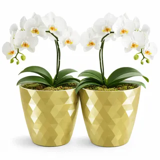 PECZEKO glänzender Blumentöpfe, Kunststoff-Pflanzentöpfe, dekorativer Blumentopf für große und kleine Blumen, 2er-Set Blumentöpf, Pflanztopf, Kräutertopf, (2 Pack) Gold, ø 14 cm