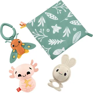 Fisher-Price Sensorische Erlebnisse Geschenkset, 4 sensorische Spielzeuge mit feinmotorischen Aktivitäten für Babys