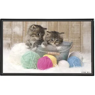 Viquel - Schreibtischunterlage mit Katzenmotiv, dekorativ, Schutz für den Schreibtisch für Kinder oder Erwachsene, Kätzchen, 59,5 x 36,2 cm, Schwarz