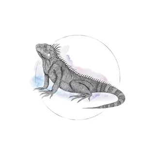 KOMAR Wandbild Iguana Watercolor 50 x 70 cm