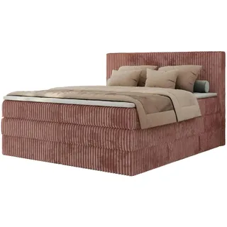 MKS Meble Boxspringbett mit Bettkasten - rosa/pink ¦ Maße (cm): B: 166 H: 119