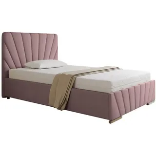 panda möbel Polsterbett RAY - Komfortbett mit Stauraum, Einzelbett, Rosa, 120x200cm, Bett ohne Matratze - Grau